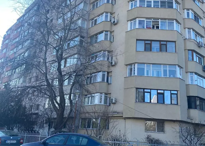 Modern Vitan-mihai Bravu *