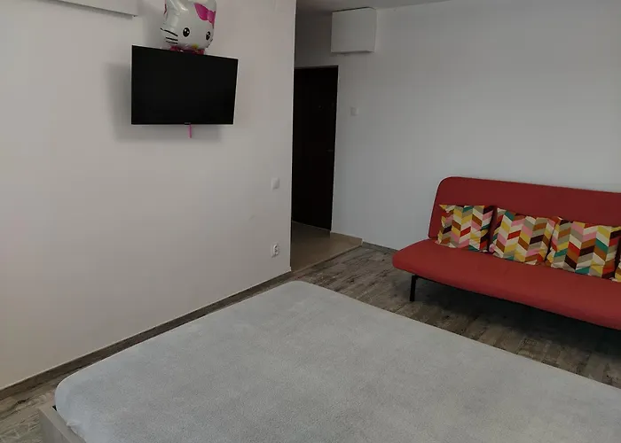 Modern Vitan-mihai Bravu *