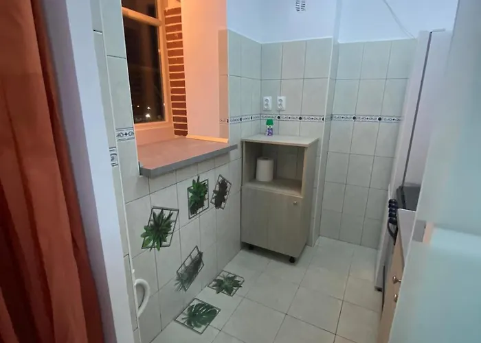 Modern Vitan-mihai Bravu