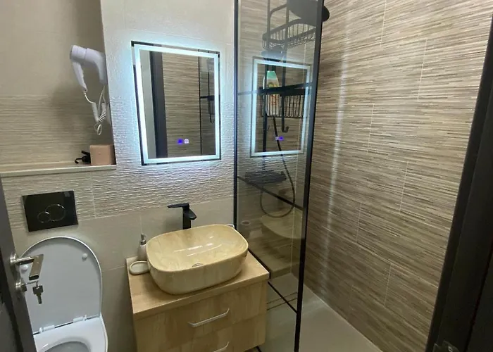 Modern Vitan-mihai Bravu