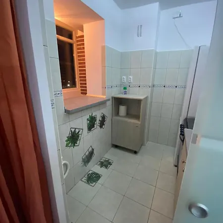 Modern Vitan-mihai Bravu